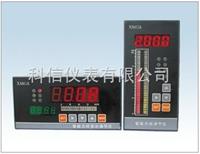 智能光柱顯示調節儀